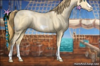 Horse Color:Buckskin Pearl Splash Frame 
