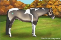 Horse Color:Blue Onyx Tobiano 
