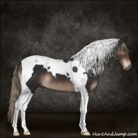Horse Color:Liver Chestnut Tobiano 