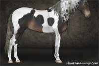 Horse Color:Liver Chestnut Tobiano 