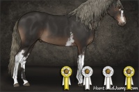 Horse Color:White Spotted Liver Chestnut 