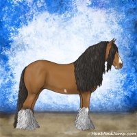 Horse Color:Bay Splash Frame 