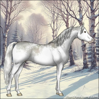 Horse Color:White Spotted Liver Red Dun Mushroom Sabino Splash Rabicano