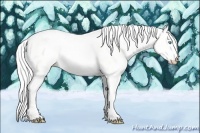 Horse Color:Cremello Dun