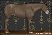 Horse Color:Gray Classic Champagne 