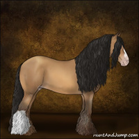 Horse Color:Gray Amber Champagne 