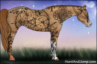 Horse Color:Gray Gold Champagne