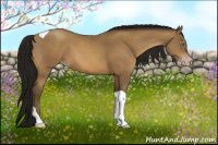 Horse Color:Gray Sable Cream Champagne Tobiano