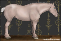 Horse Color:Gray Cremello 