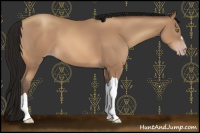Horse Color:Gray Amber Champagne 