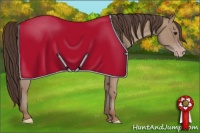Horse Color:Classic Champagne 