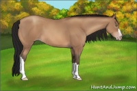 Horse Color:Gray Amber Champagne 