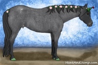 Horse Color:Blue Roan Varnish 