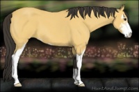 Horse Color:Buckskin Roan Sabino
