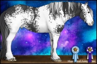 Horse Color:White Spotted Black Sabino 