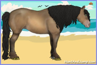 Horse Color:Gray Amber Cream Champagne 