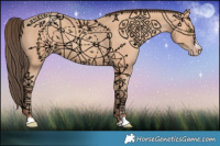 Horse Color:Amber Champagne 