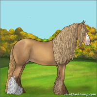 Horse Color:Gray Gold Champagne 