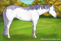 Horse Color:Watercolor Chestnut Splash