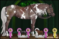 Horse Color:White Spotted Chocolate Silver Smoky Black Chinchilla 