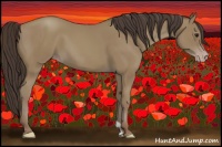 Horse Color:Classic Champagne 