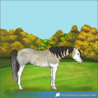 Horse Color:Bay Chinchilla Ice Dun Splash 