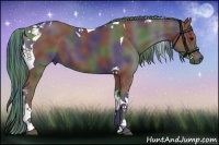 Horse Color:Painted Nacre Smoky Black Tobiano 