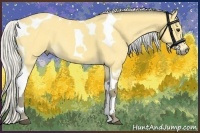 Horse Color:Silver Buckskin Tobiano 