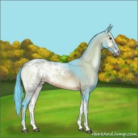 Horse Color:Watercolor Brown Ice Onyx 