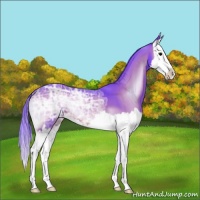 Horse Color:Watercolor Brown Ice Onyx Splash 