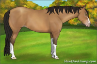 Horse Color:Gray Amber Champagne 