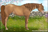Horse Color:Gray Gold Champagne