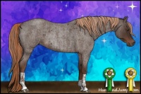 Horse Color:Liver Red Roan and Liver Red Roan Rabicano