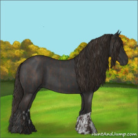 Horse Color:Liver Red Roan  and Gray Liver Red Roan 