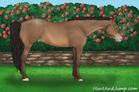 Horse Color:Gray Amber Champagne 