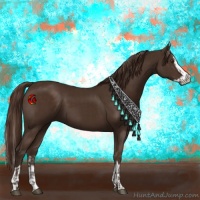 Horse Color:Liver Chestnut  and Liver Chestnut Splash 