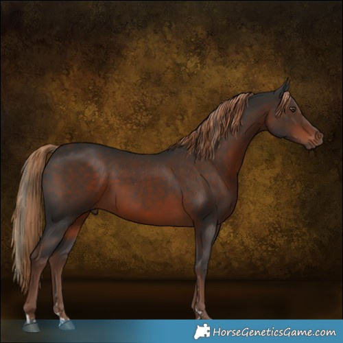 Horse Color:Liver Chestnut  and Liver Chestnut 