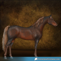Horse Color:Liver Chestnut  and Liver Chestnut 
