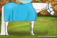 Horse Color:Smoky Creme Sabino  and Smoky Creme Dun Sabino 