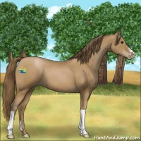 Horse Color:Black Pearl 
