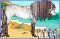 Horse Color:Liver Chestnut Chinchilla and Chocolate Bay Chinchilla