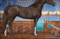 Horse Color:Liver Chestnut  and Liver Chestnut 