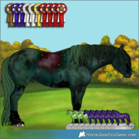 Horse Color:ERROR: UNKNOWN ANOMALY