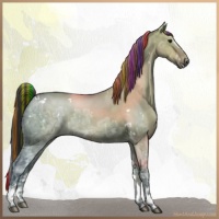 Horse Color:Painted White Spotted Buckskin Ice Dun