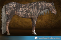 Horse Color:Liver Chestnut Pearl Mushroom  and Liver Chestnut Mushroom 