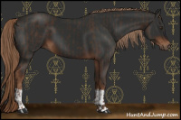Horse Color:Liver Chestnut and Gray Liver Chestnut