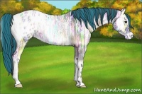 Horse Color:Painted Blue Onyx Ice Roan Appaloosa 