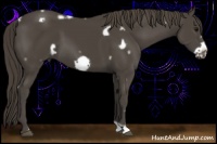 Horse Color:White Spotted Smoky Black Frame 