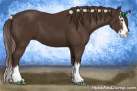 Horse Color:Liver Chestnut Splash  and Liver Chestnut Splash 