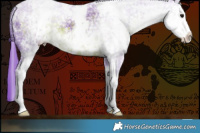Horse Color:Watercolor White Spotted Brown Mushroom 